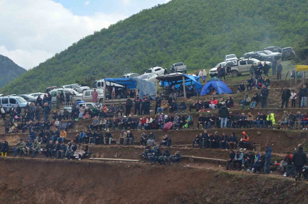 Artvin’de boğa güreşleri festivalleri başladı