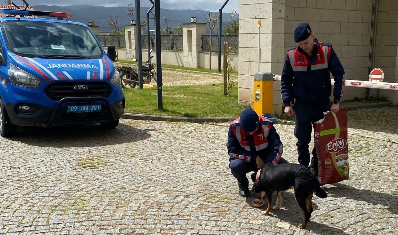 Jandarma ekipleri can dostları unutmuyor