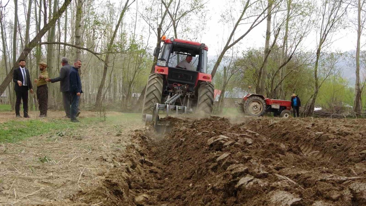 Yüksekova’da 35 yıl aradan sonra şeker pancarı ekimi yapıldı