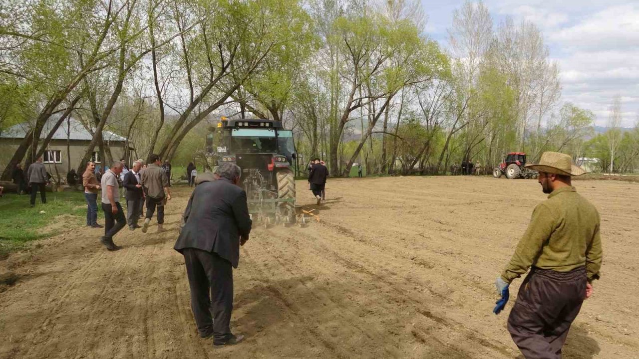 Yüksekova’da 35 yıl aradan sonra şeker pancarı ekimi yapıldı