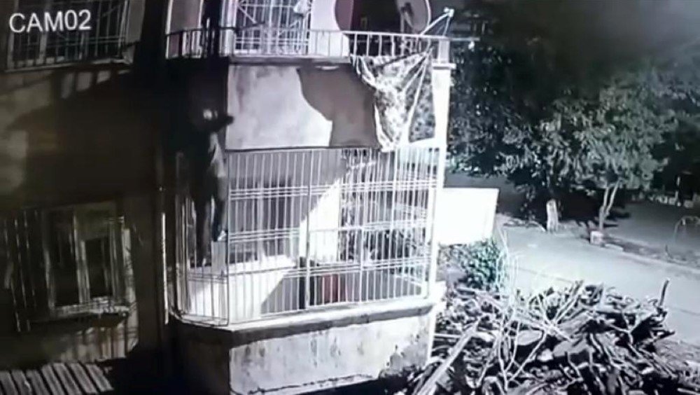 Diyarbakır’da depremzedelerin evine dadanan 10 zanlı tutuklandı