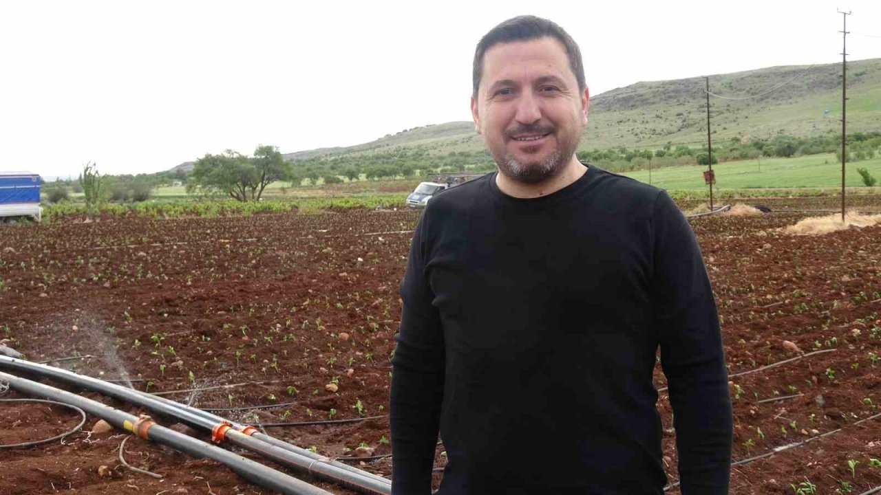 Kilis’te çiftçiler 1 Mayısta biber fidelerini toprakla buluşturdu