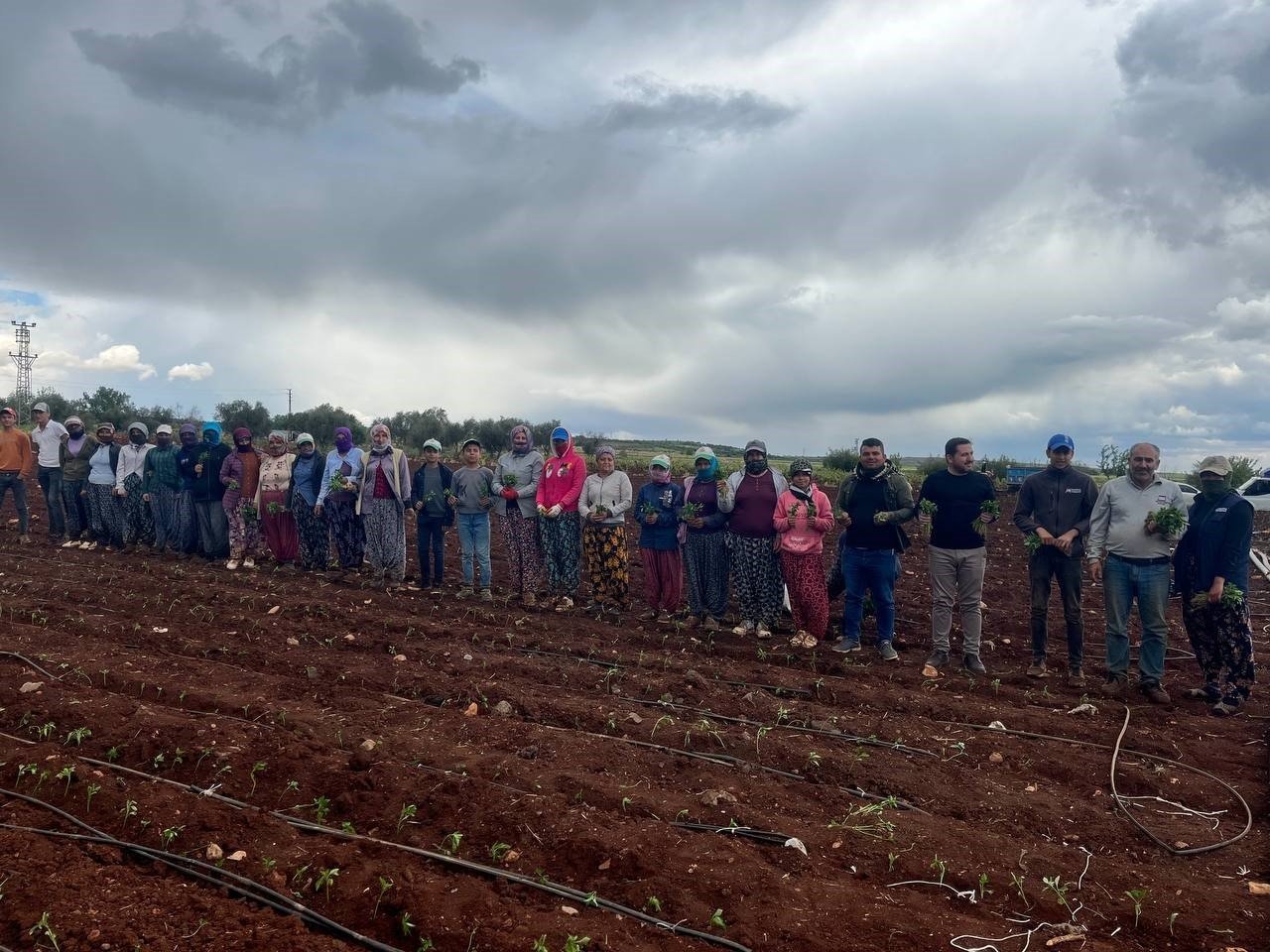 Kilis’te çiftçiler 1 Mayısta biber fidelerini toprakla buluşturdu