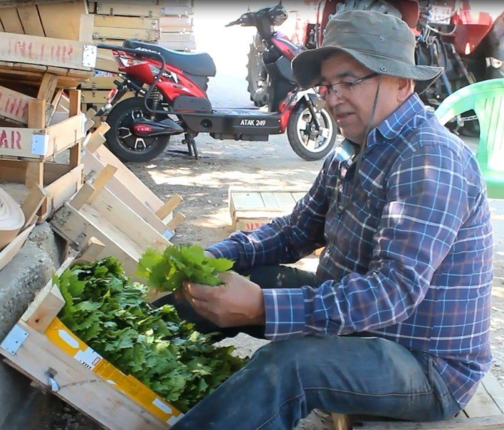 Üzümden önce yaprağı gelir kapısı oldu