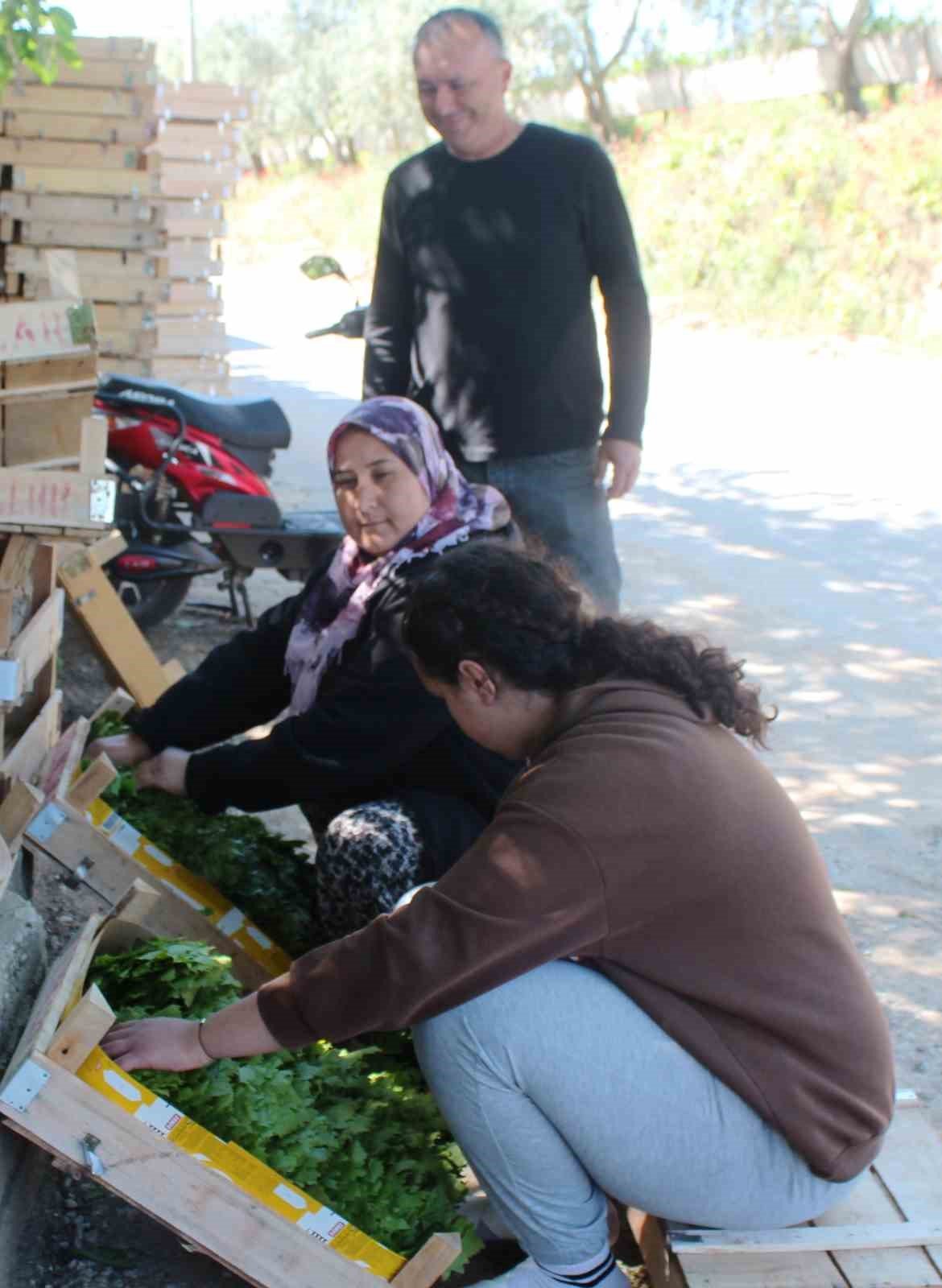 Üzümden önce yaprağı gelir kapısı oldu