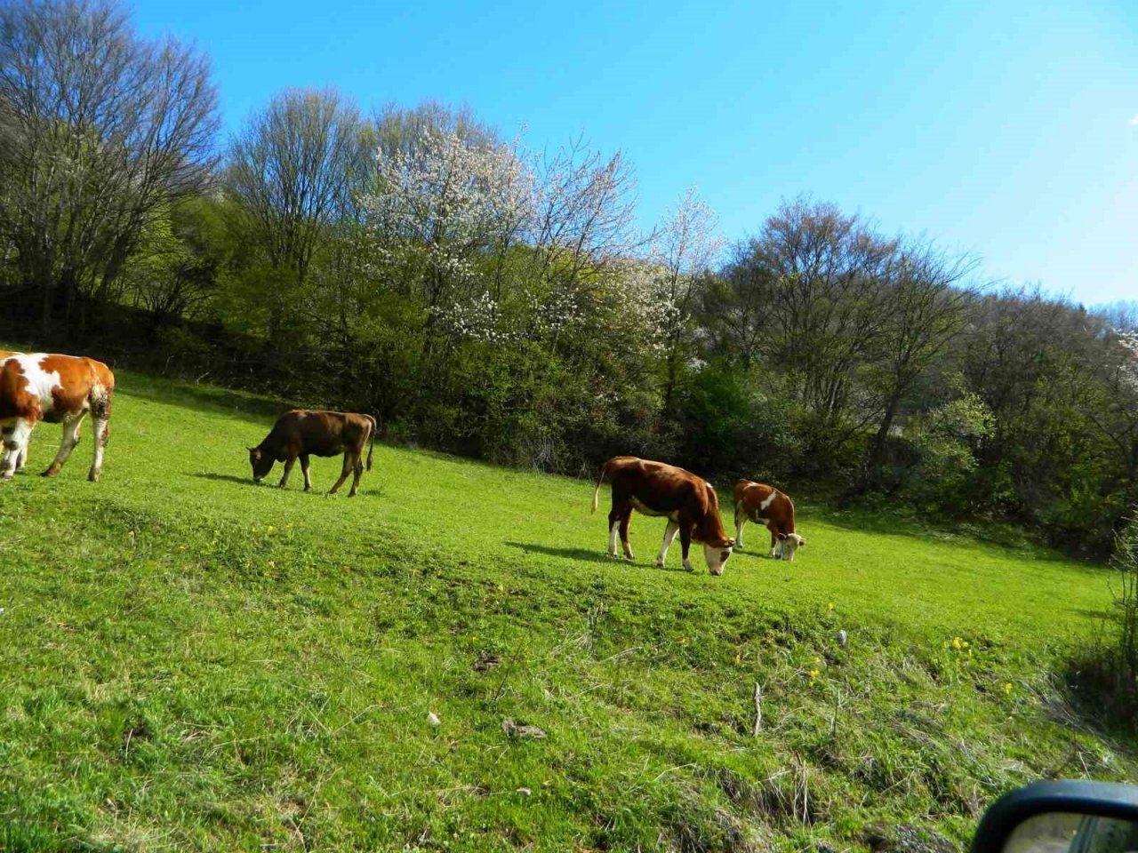 Posof’ta bir günde dört mevsim