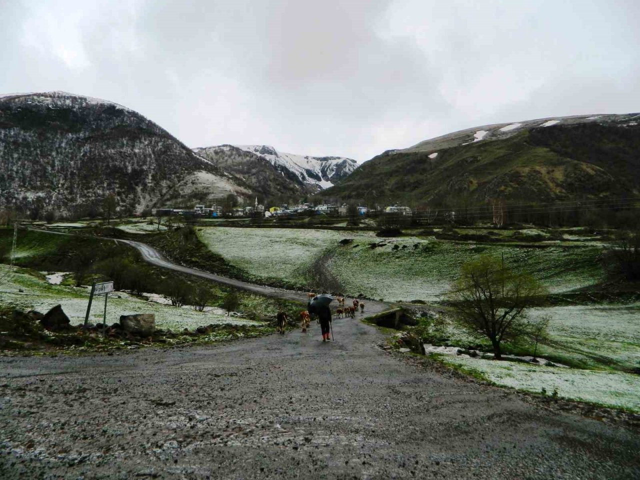 Posof’ta bir günde dört mevsim