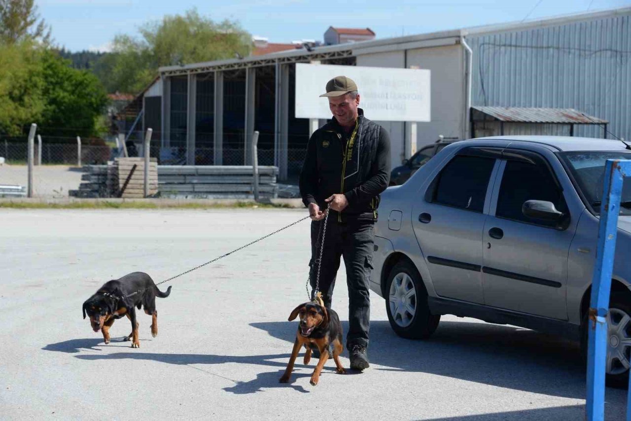 Bozüyük’te ücretsiz kuduz aşısı kampanyası