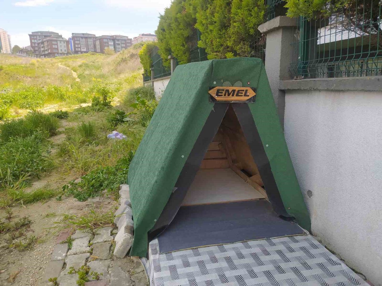 Otomobiliyle köpeği ezdi, umursamadan yoluna devam etti