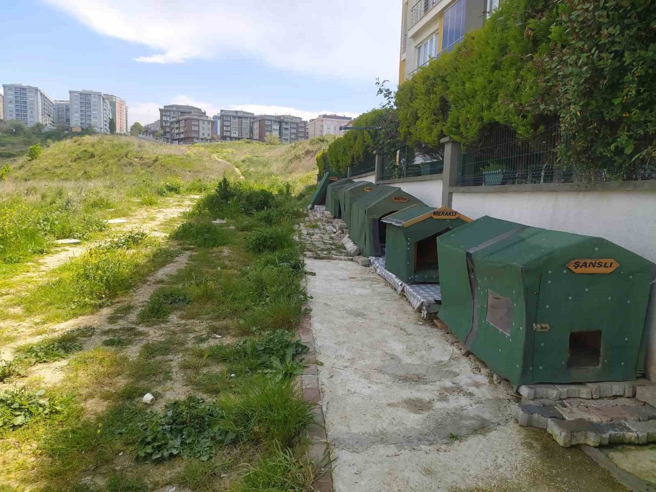 Otomobiliyle köpeği ezdi, umursamadan yoluna devam etti