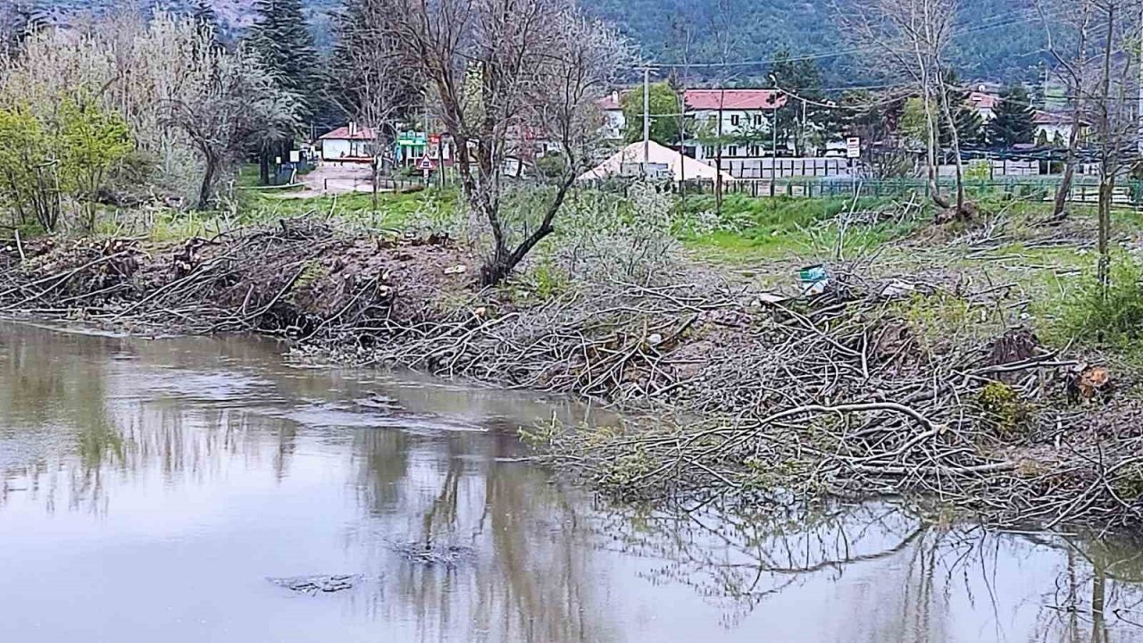 Orman fidanlığında ağaç kıyımı iddiası