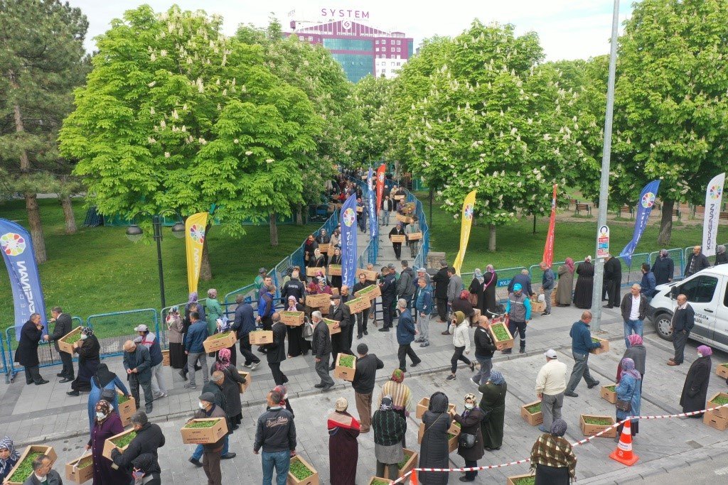 Başkan Çolakbayrakdar’dan organik domates fidesi dağıtım etkinliğine davet