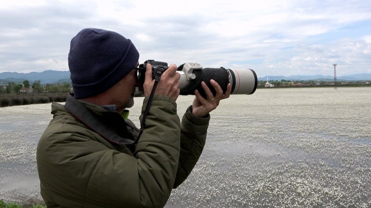 Kuş Cenneti’nde papatya güzelliği