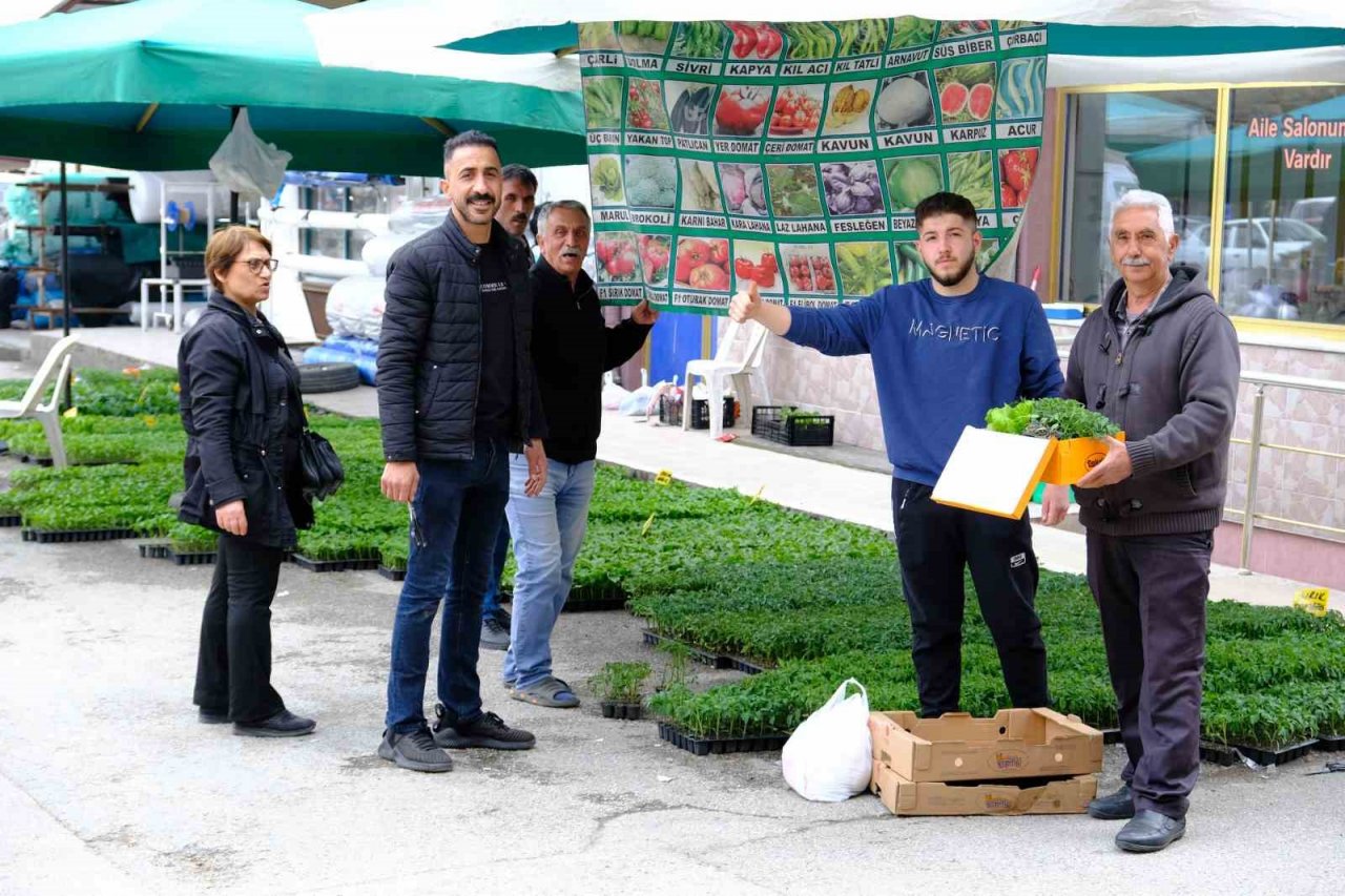 Yılın ilk fideleri seralardan tezgahlara taşındı