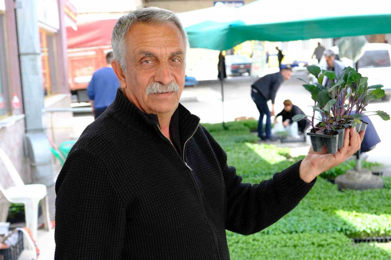 Yılın ilk fideleri seralardan tezgahlara taşındı