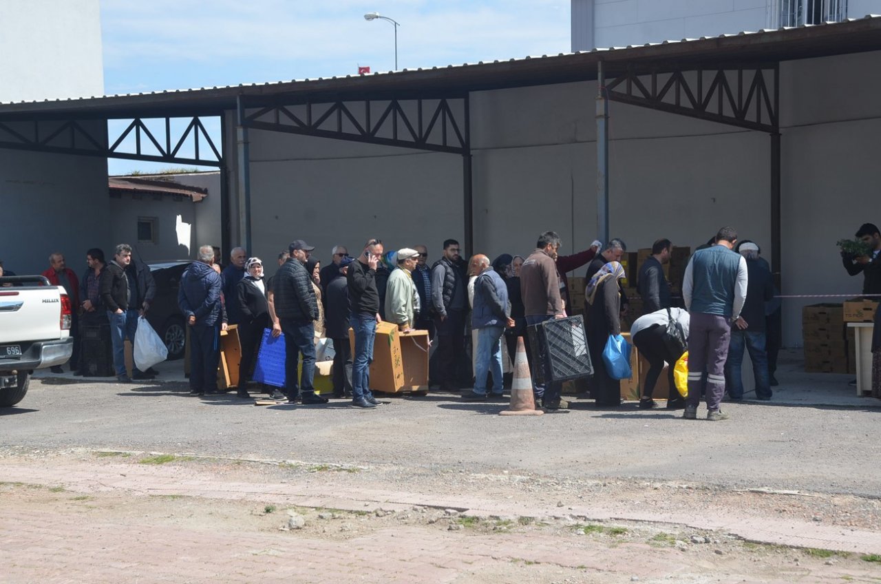 Sinop’ta 80 bin sebze fidesi dağıtıldı