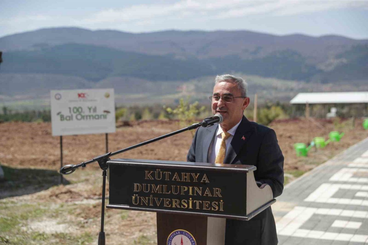 Fidanlar, bal ormanına dönüşecek