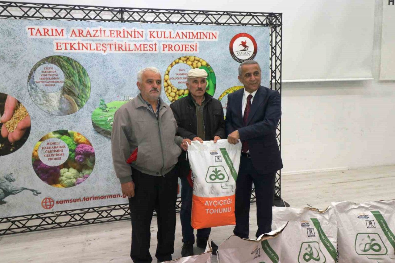 Üreticiye yağlık ayçiçeği tohumluğu desteği