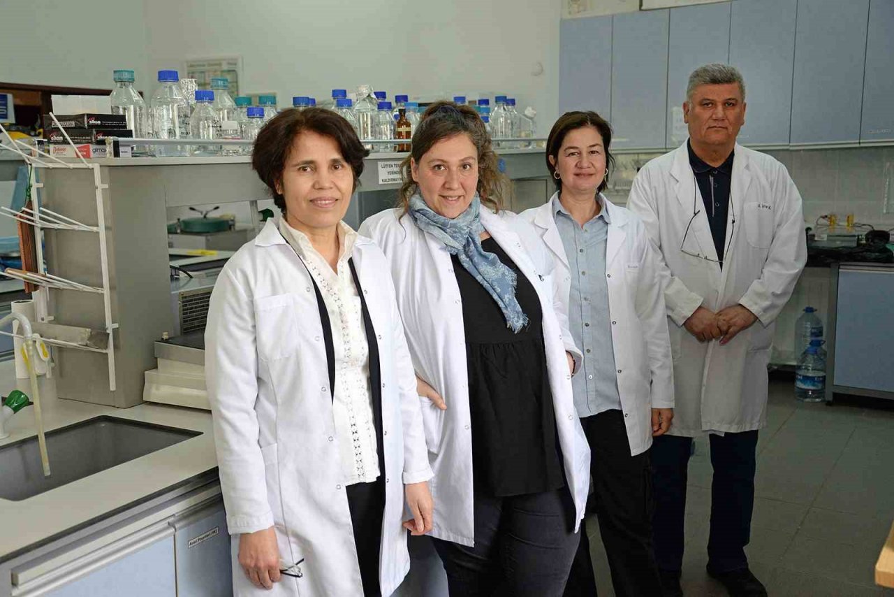 Genom düzenleme teknolojisi havuçta başarıyla uygulandı