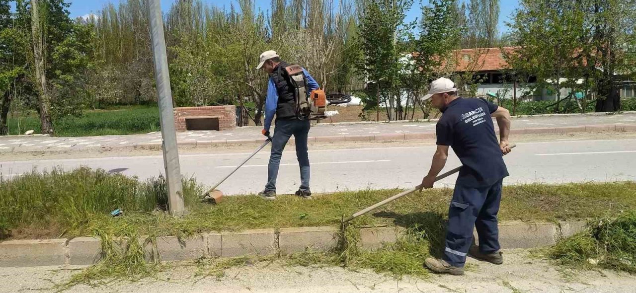 Hisarcık’ta yabani ot temizliği