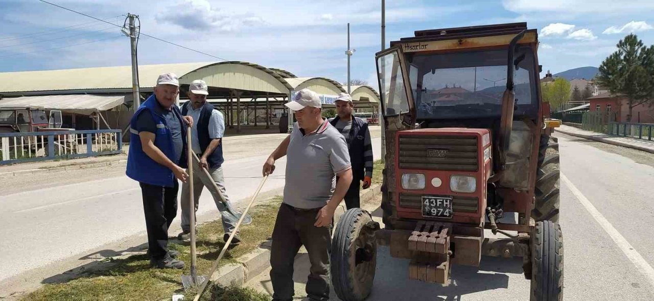 Hisarcık’ta yabani ot temizliği