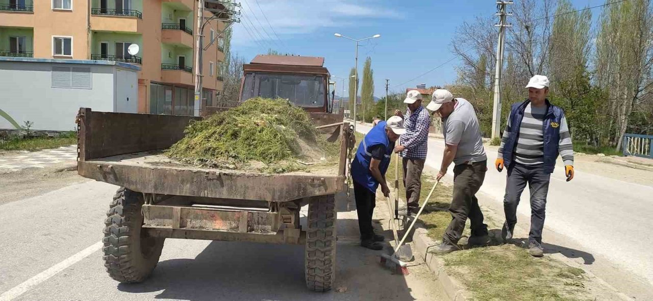Hisarcık’ta yabani ot temizliği