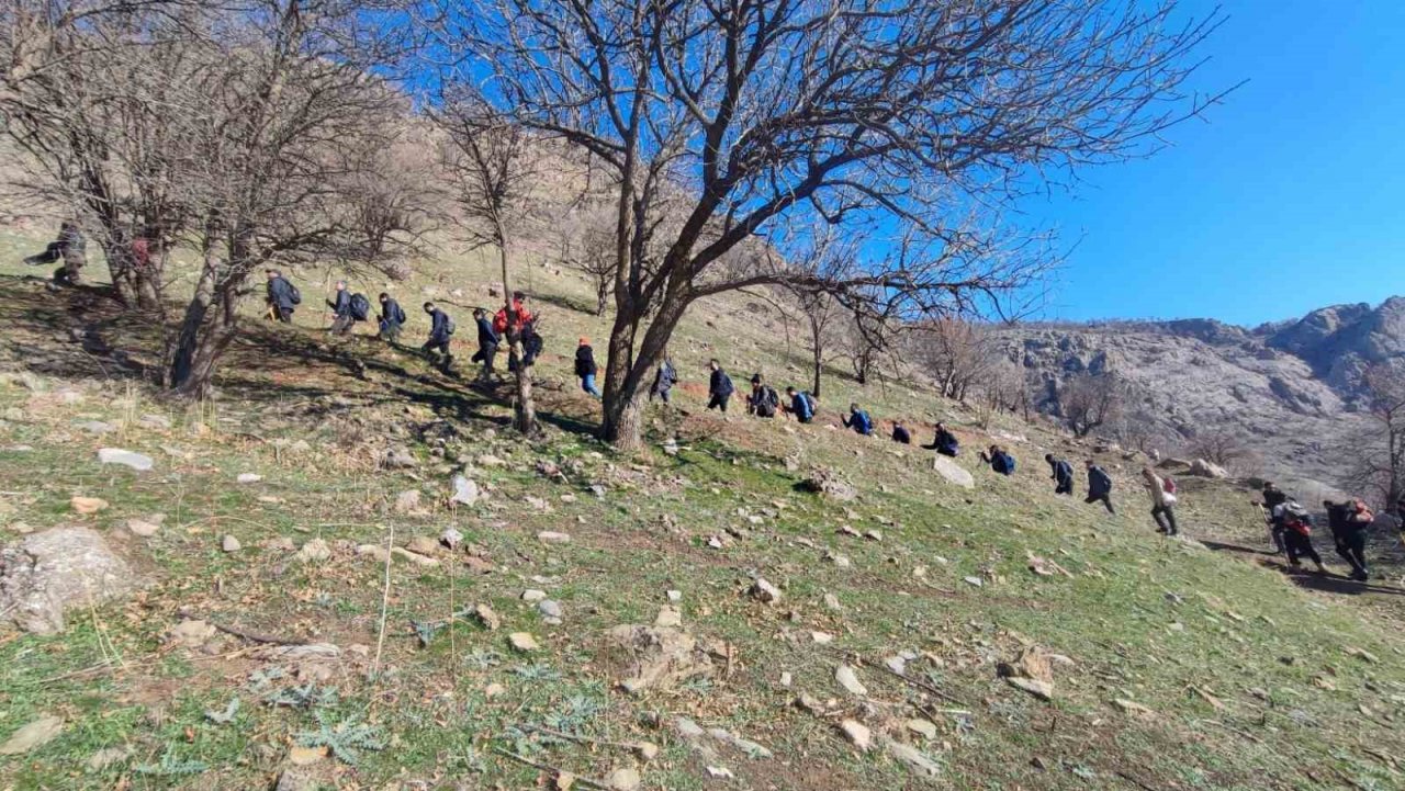 Yüksekova’da engerek yılanı görüntülendi