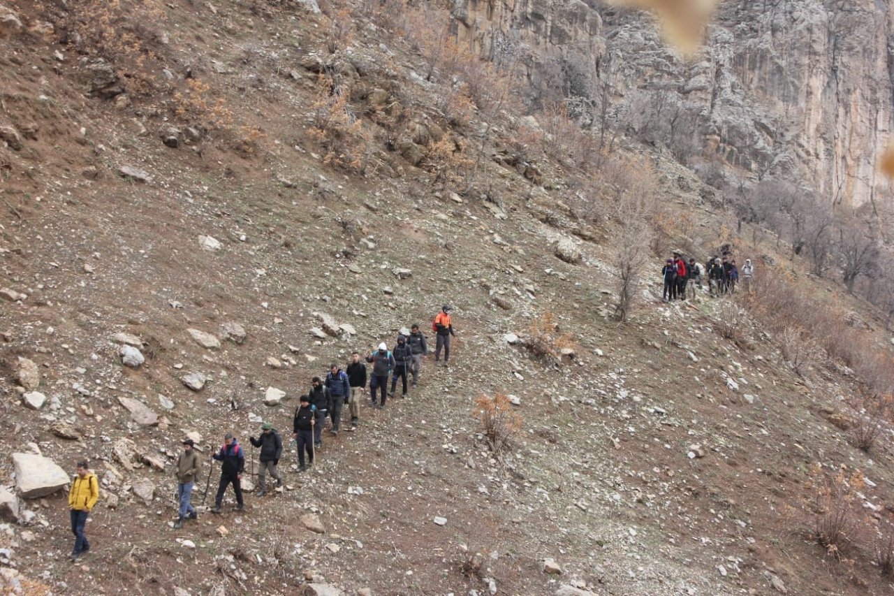 Yüksekova’da engerek yılanı görüntülendi