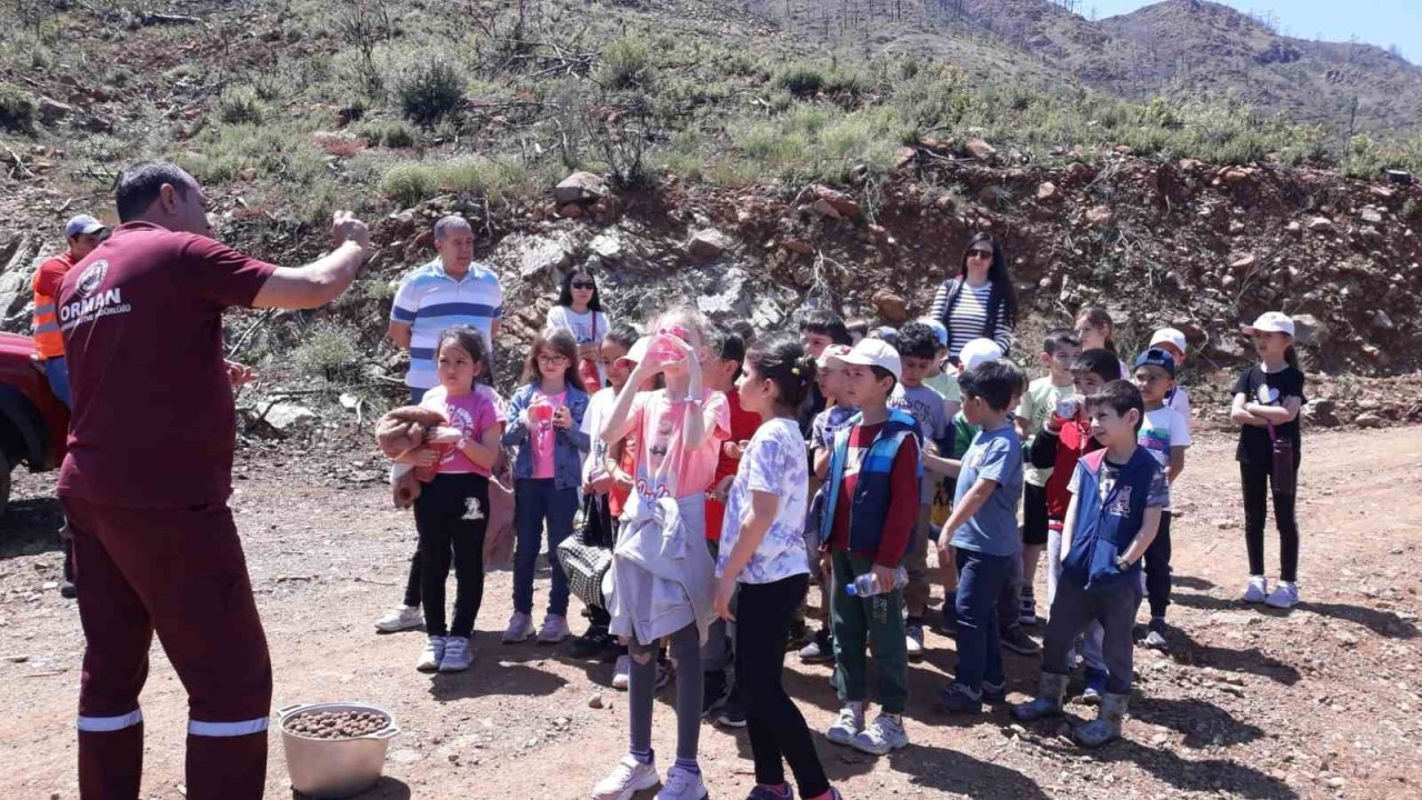 İlköğretim öğrencileri yanan alanlara tohum topu attı