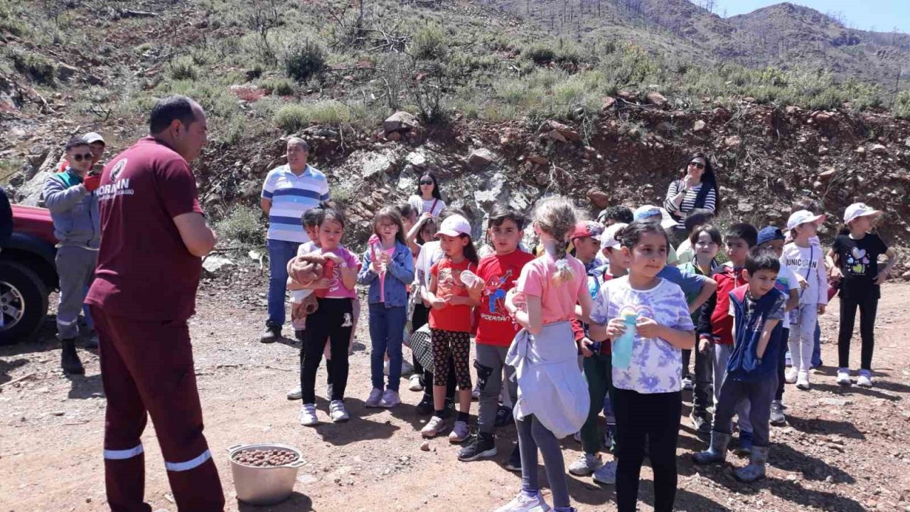 İlköğretim öğrencileri yanan alanlara tohum topu attı