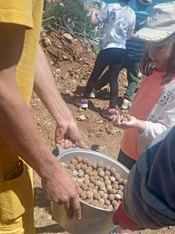 İlköğretim öğrencileri yanan alanlara tohum topu attı