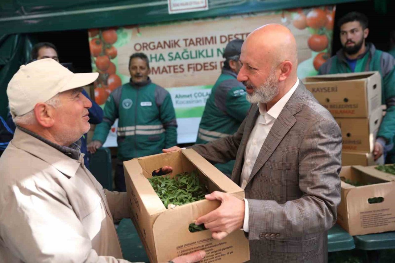 Domates fidesi alabilmek için uzun kuyruklar oluşturdular