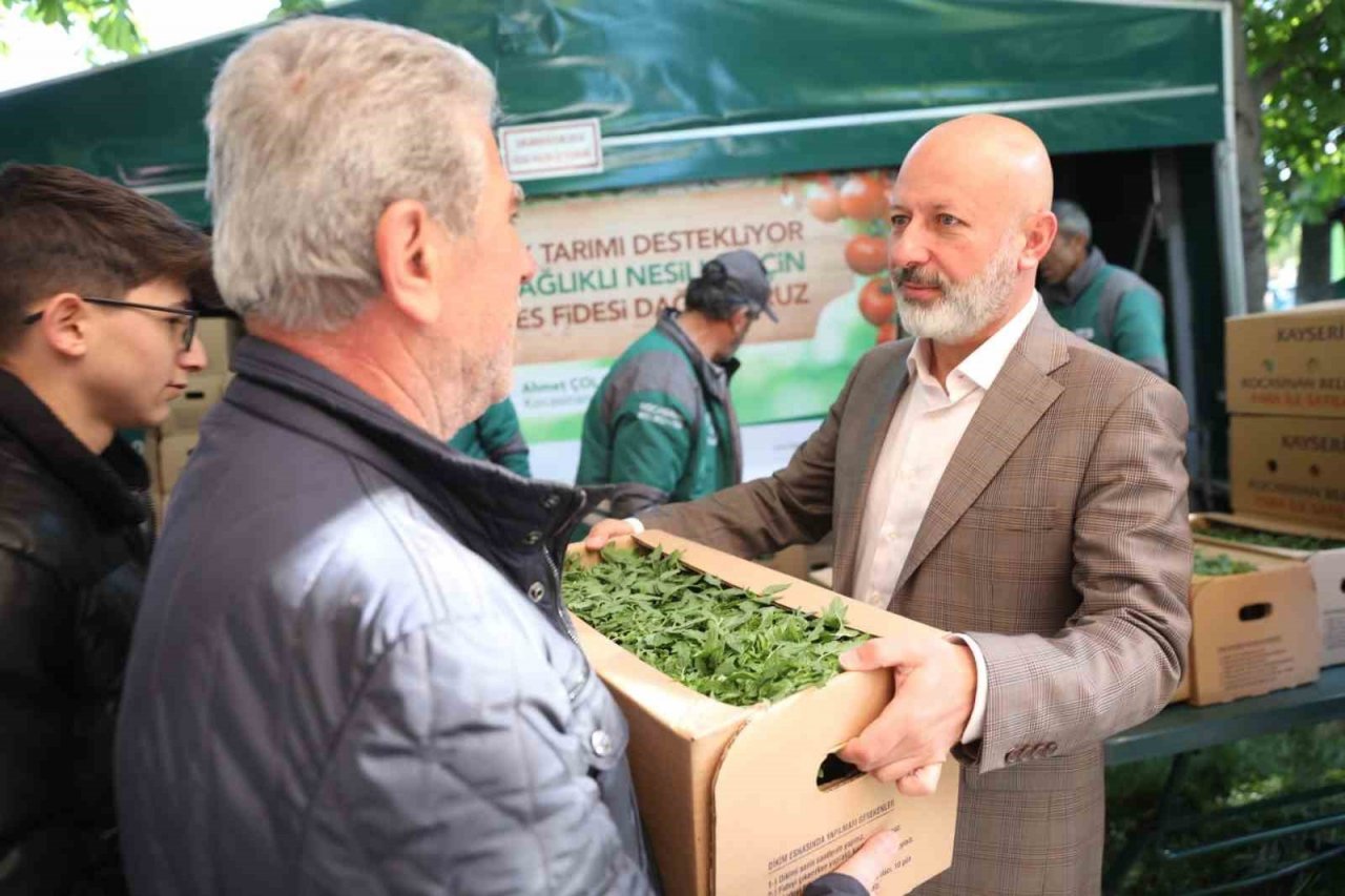 Domates fidesi alabilmek için uzun kuyruklar oluşturdular