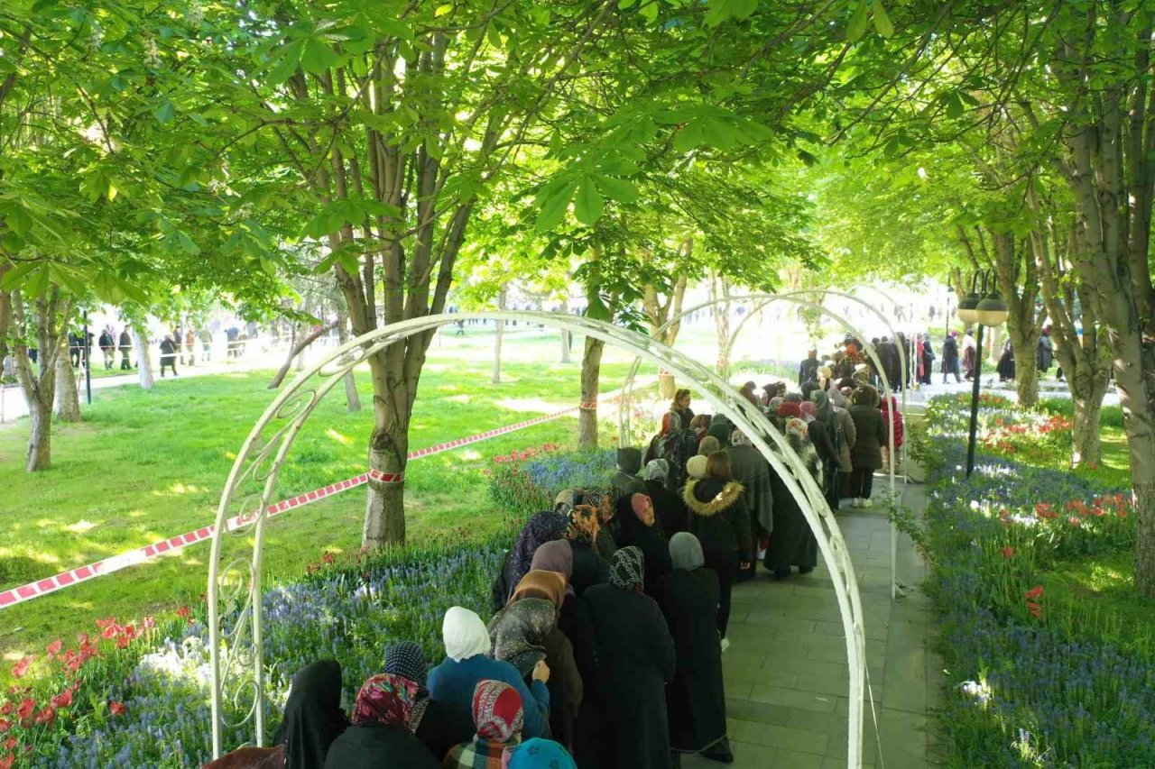 Domates fidesi alabilmek için uzun kuyruklar oluşturdular