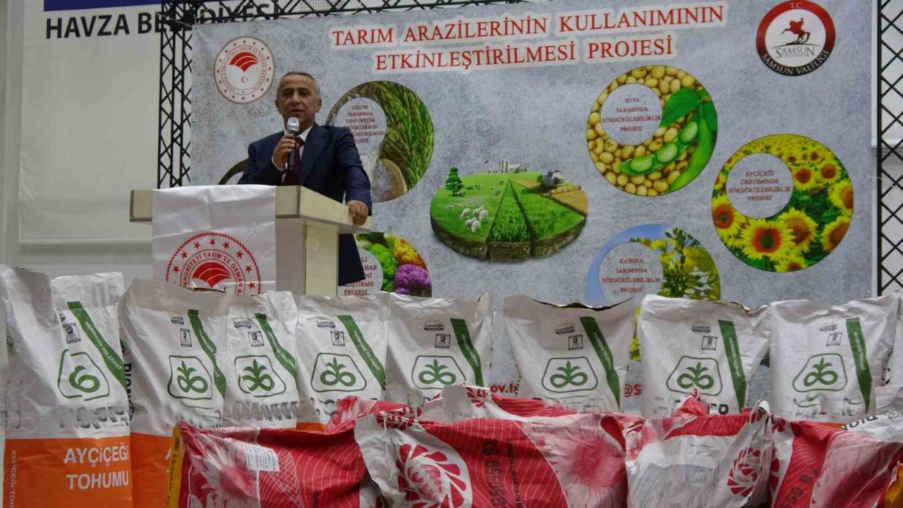 Üreticiye yağlık ayçiçeği tohumluğu desteği