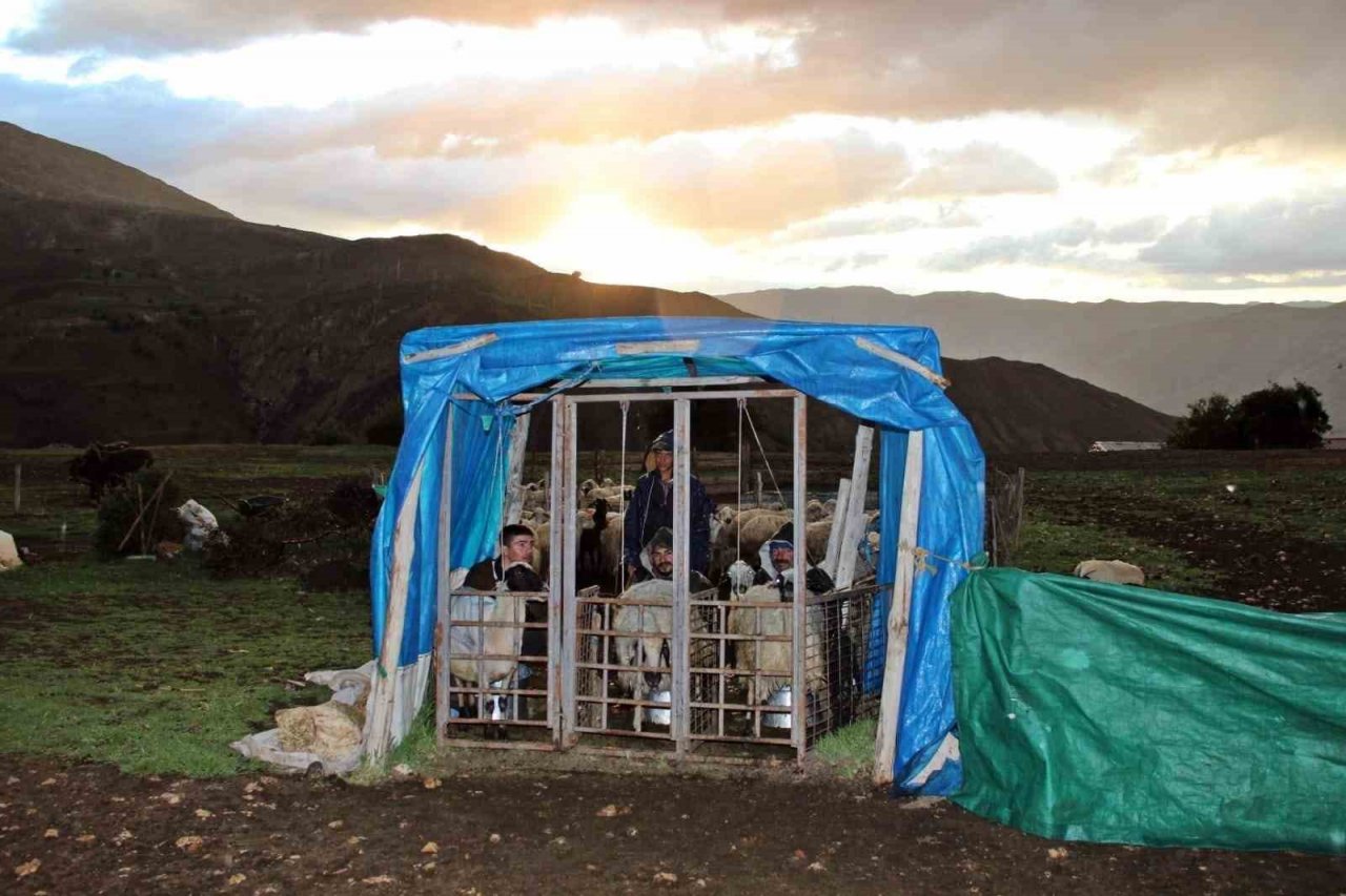 Tulum peyniri üreticileri dışarıdan getirilen peynirlerden muzdarip