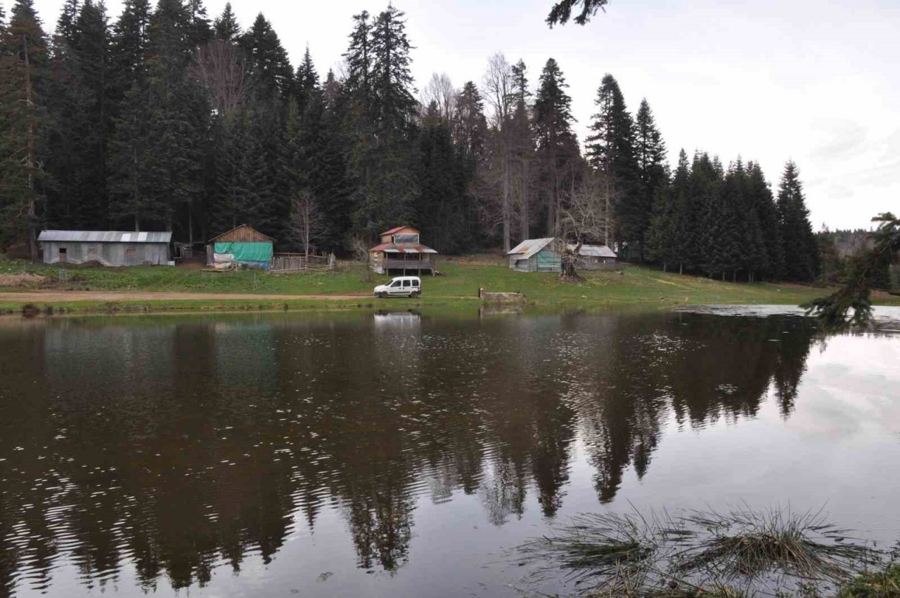 Kampçıların yeni adresi