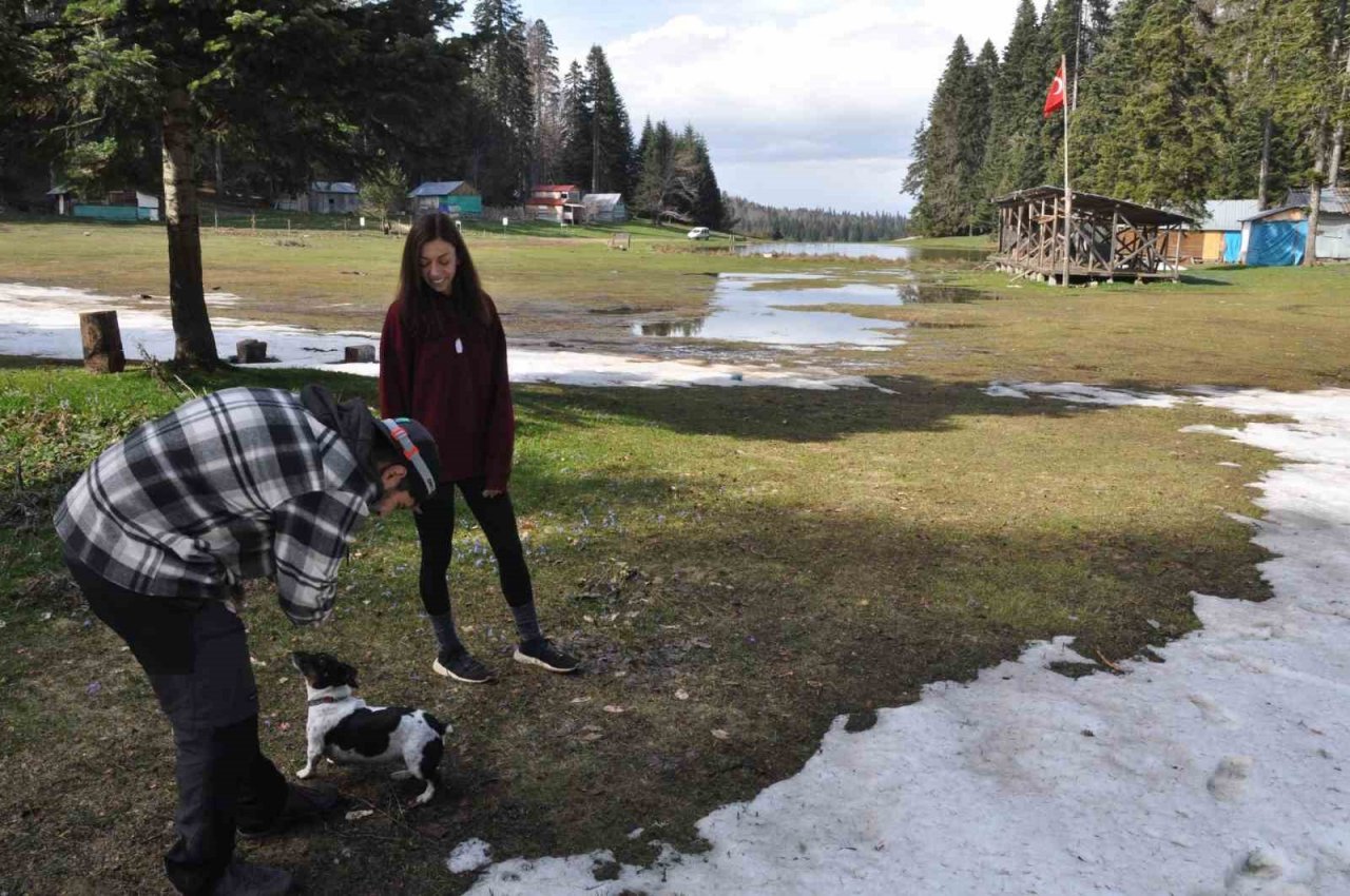 Kampçıların yeni adresi