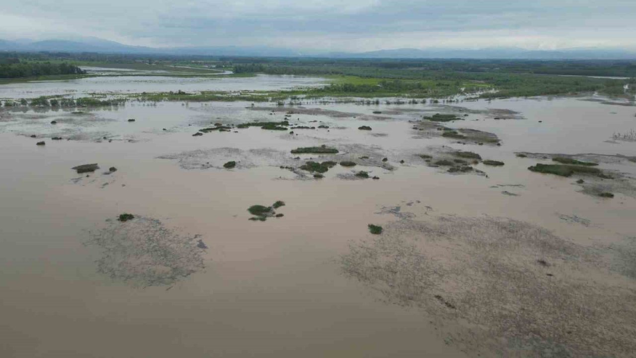 Yağış ve eriyen karlar gölün su seviyesini yükseltti