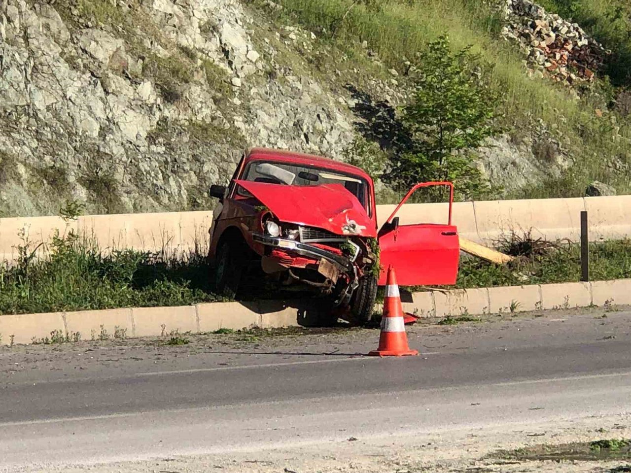 Kontrolden çıkan otomobil çarptığı ağacı kökünden söktü