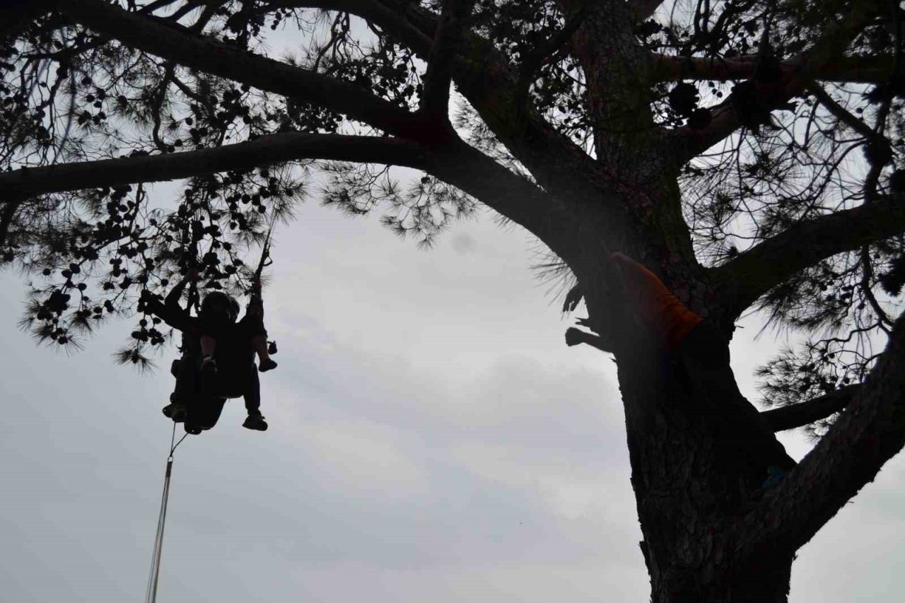 Kurtarma ekipleri ağaçlardan paraşütçü topluyor
