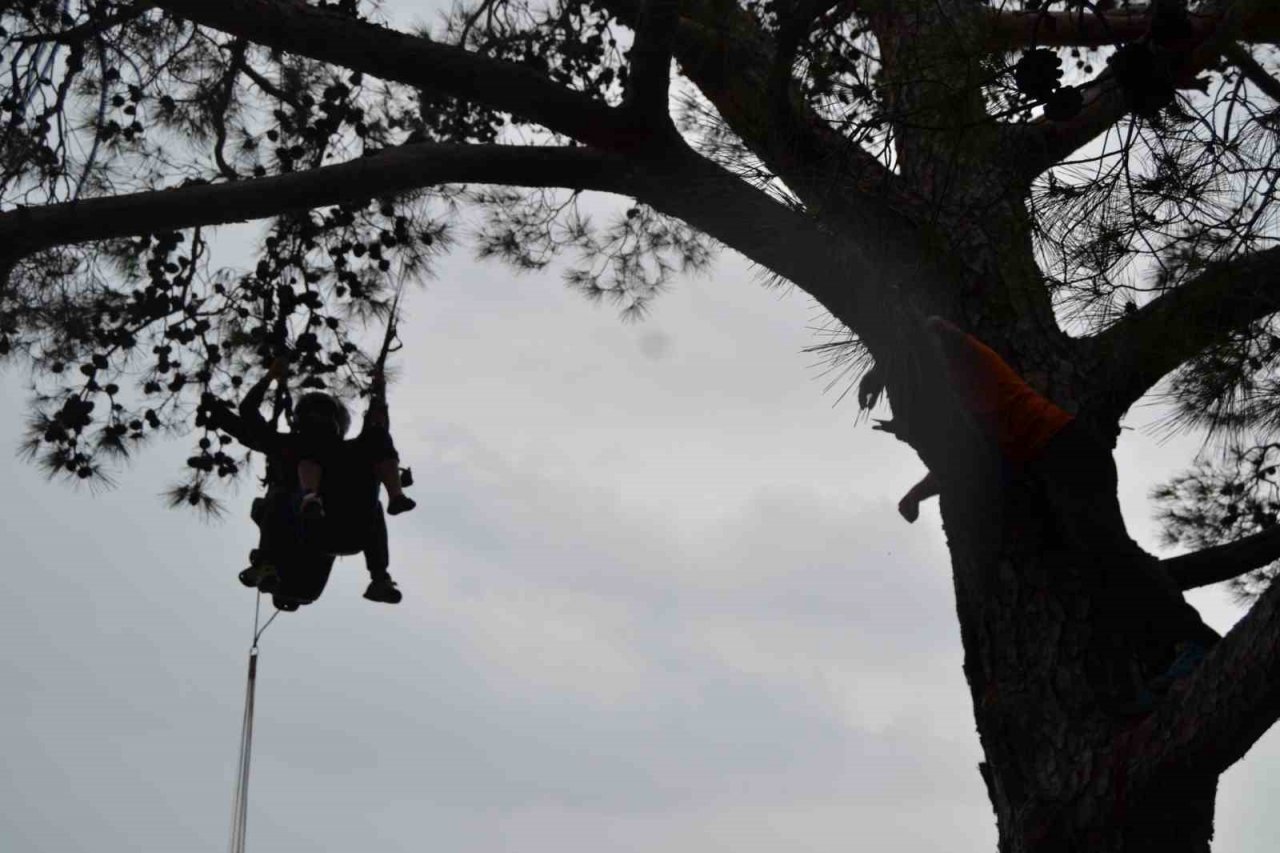 Kurtarma ekipleri ağaçlardan paraşütçü topluyor