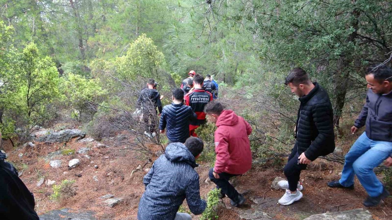 Kurtarma ekipleri ağaçlardan paraşütçü topluyor