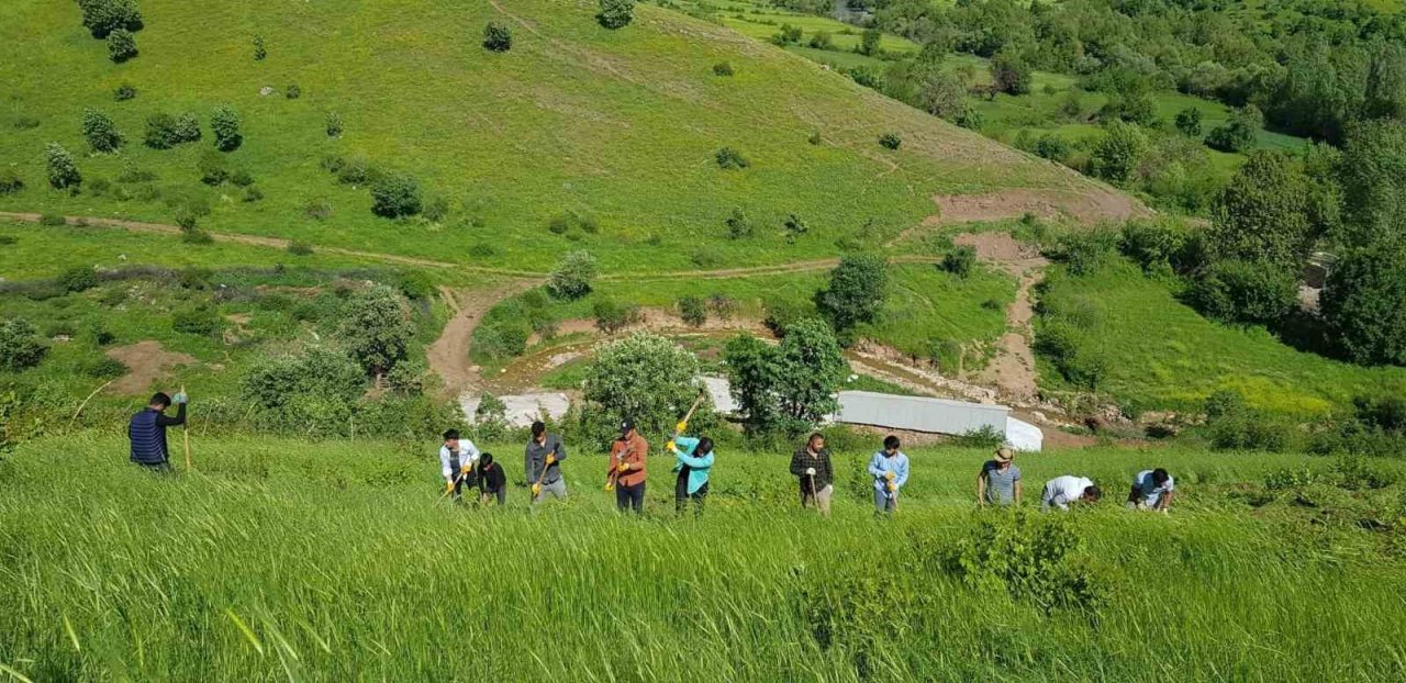 Derecik’te çiftçiler imece usulü ile birbirlerine yardım ediyor
