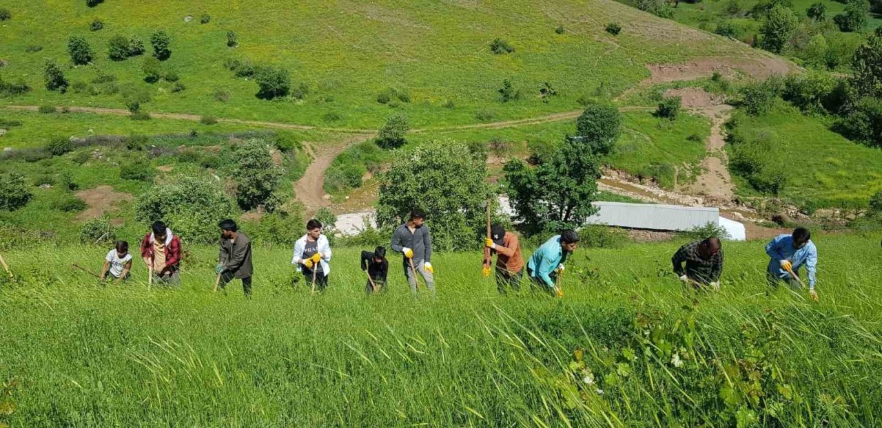 Derecik’te çiftçiler imece usulü ile birbirlerine yardım ediyor