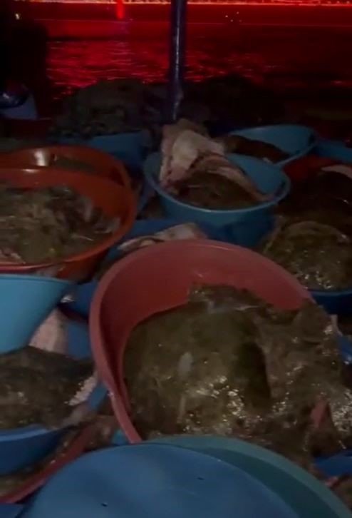 Işıkları kapalı olarak yasak avcılık yapanlara 154 bin 296 TL para cezası