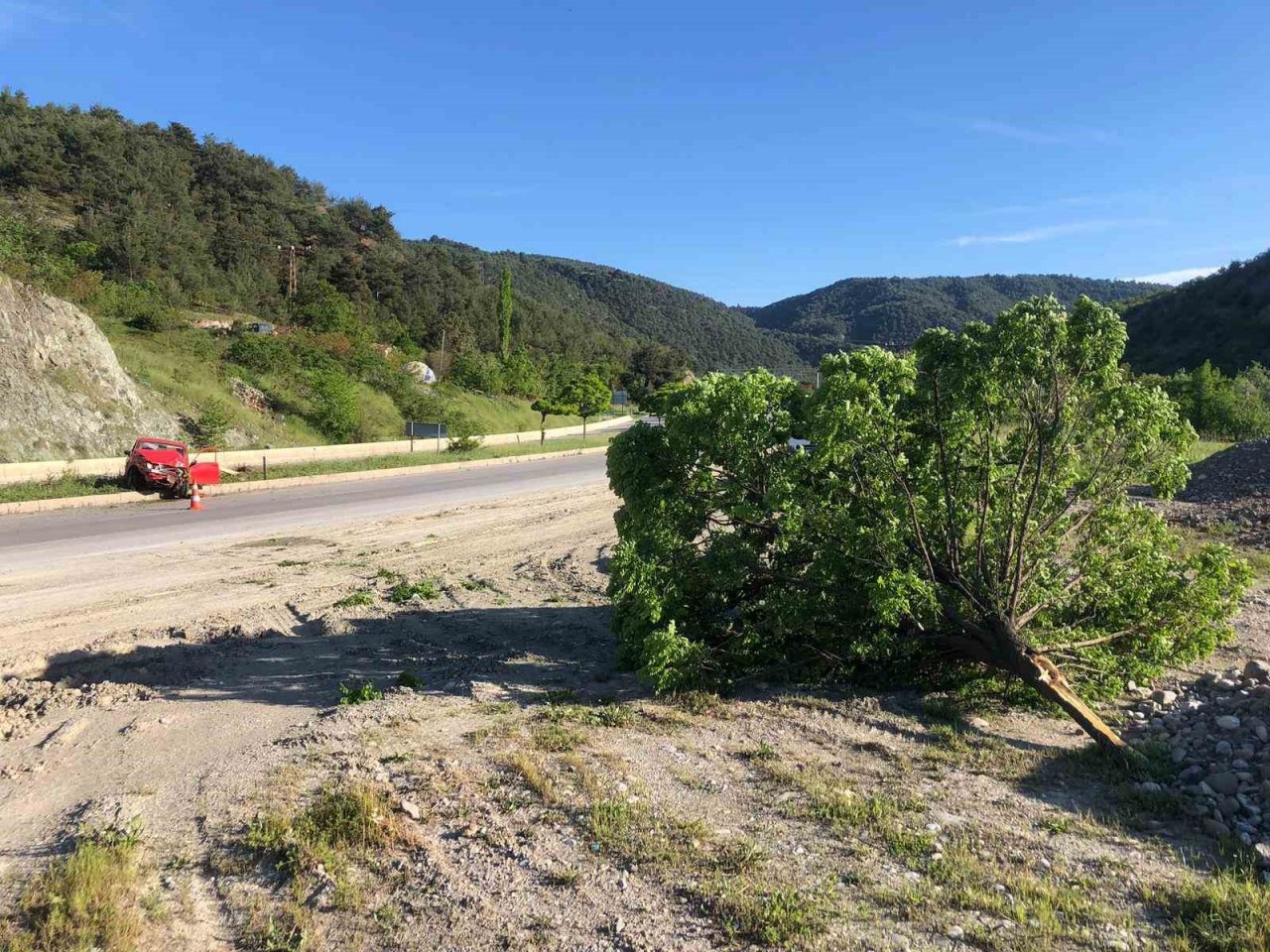 Kontrolden çıkan otomobil çarptığı ağacı kökünden söktü