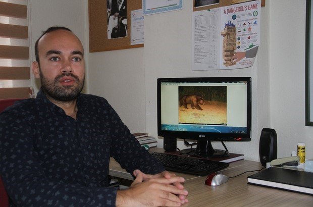 Marmaris’te yangınlardan sonra ilk defa bir bozayı fotokapanla görüntülendi