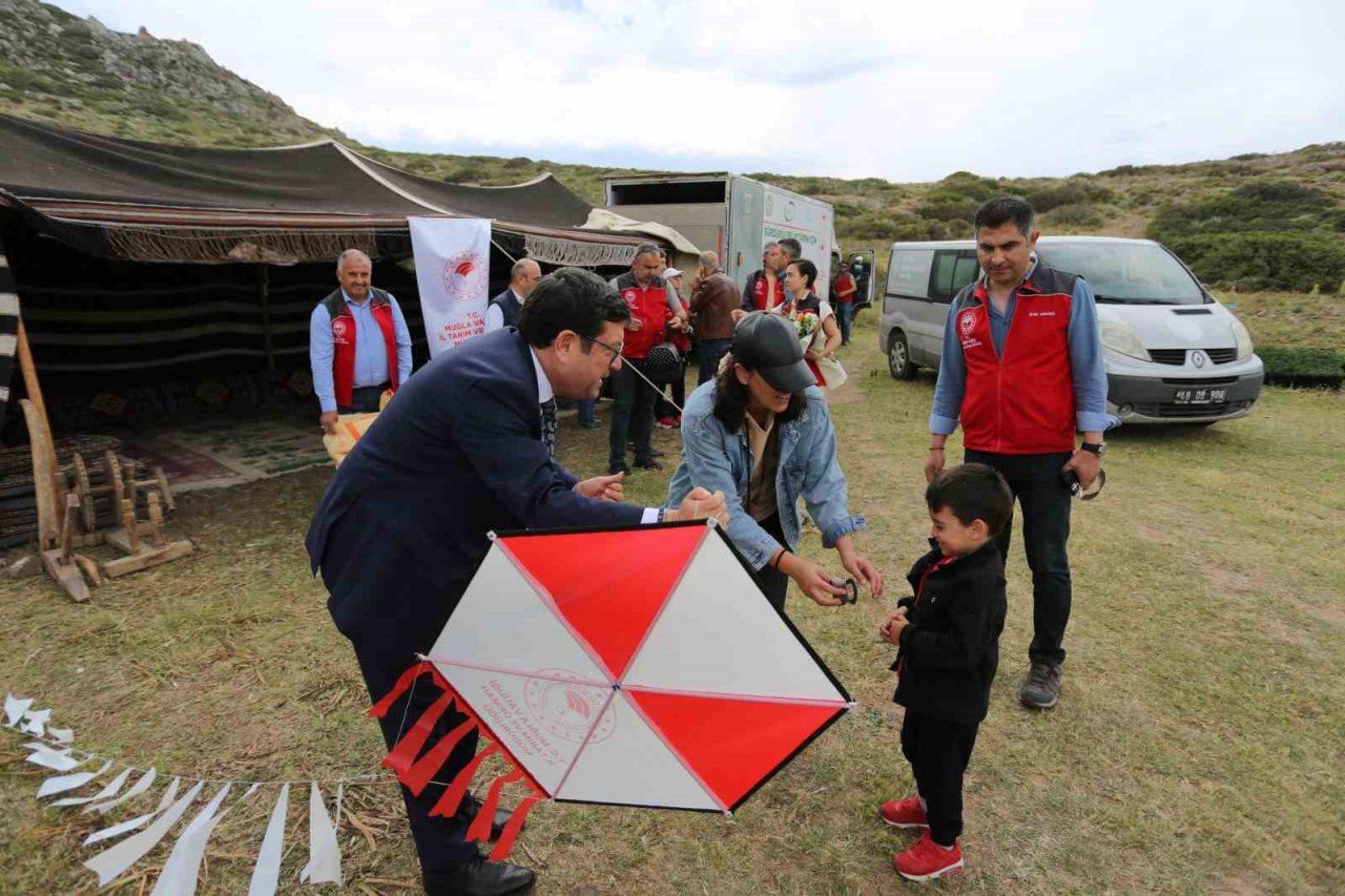 Muğla’da mera alanları üç yılda 3.5 kat arttı