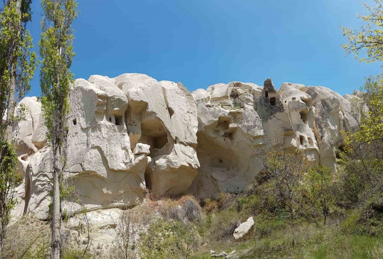 Kayalıklarda mahsur kalan köpeğin yardımına itfaiye ekipleri yetişti